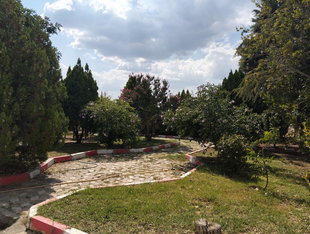 Yurt Bahçesi
